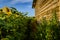 Traditional barn detail within field of sunflowers