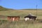 Traditional Basotho huts in the Free State province.  