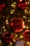 Traditional baubles hangs on twigs tree of pine. Bright red balls on Christmas tree of fir or spruce with string rice lights bulbs