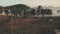 Traditional boat at green grass shore aerial. Tourists rest at palm trees. Sand beach at ocean bay