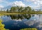 Traditional bog landscape with blue swamp lake, gorgeous clouds, mire plants, moss, grass lichens, bog pines