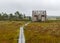 Traditional bog landscape with wet trees, grass and bog moss in the rain, wooden lookout tower in the bog, foggy and rainy