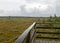 Traditional bog landscape with wet trees, grass and bog moss in the rain, wooden lookout tower in the bog, foggy and rainy