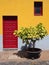 Traditional bright yellow house in tenerife with red door