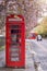 A traditional, british telephone booth under a tree in full spring blossom