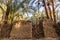 Traditional building of clay, thatched walls and adobe bricks, gardens of date palms. Bahariya, Western Desert, Sahara, Egypt.