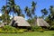 Traditional bure with thatched roof, Vanua Levu island, Fiji
