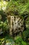 Traditional burial site in Tana Toraja