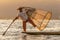 Traditional Burmese fishermen with fishing net at Inle lake in Myanmar famous for their distinctive one legged rowing style,