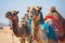 Traditional Camels Close up of Camels with Colorful Attire. Generative AI