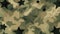 Traditional camouflage texture. Abstract camo design. Backdrop. Concept of military, hunting gear, army uniform