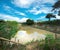 Traditional Catfish Fishery. Catfish Hatchery Aquaculture Farm on Muddy Brown Pond