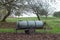 Traditional cattle watering tank