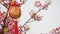 Traditional Chinese new year decor on blossom tree