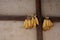 Traditional Chinese Residences interior dried cone hanging on the wall in Tianshui Folk Arts Museum Hu Shi folk house, Gansu China