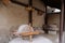 Traditional Chinese Residences interior stone mill in Tianshui Folk Arts Museum Hu Shi folk house, Gansu China