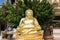 Traditional Chinese style of gold buddha - maitreya