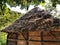 Traditional country house or barn with thatched, dry grassy roof in summer in the forest. The craft of building a roof