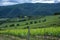 Traditional countryside and landscapes of beautiful Tuscany. Vineyards in Italy. Vineyards of Tuscany, Chianti wine region of Ital