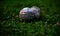 Traditional cricket balls in a ground unique photo