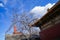 Traditional culture of eaves of Chinese ancient architecture