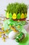 Traditional Czech easter decoration - green wheat seedlings in the flowerpot and decorated eggs with dogwood twigs on the white b