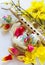 Traditional Czech easter decoration - wooden flute music instrument with painted eggs with daffodils and tulips flower in