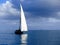 Traditional dhow sailing on a calm sea