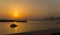 Traditional Dhows boats