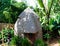 Traditional Dorze tribe house in Chencha , Ethiopia