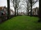 Traditional Dutch Houses in Veere, Zeeland, Netherlands