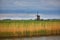 Traditional Dutch windmill on field with grazing sheep and cows