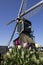 Traditional Dutch windmill with tulips in Leiderdorp, Holland