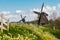 Traditional Dutch windmills in a countryside of Kinderdijk, Netherlands, Holland, rural landscape, lifestyle