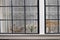 the Traditional Dutch window with tulle and dry bouquets on the windowsill