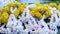 Traditional East Asian Buddhist Offering Made with White and Yellow Flowers