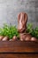 Traditional Easter chocolate bunny and eggs inside a wooden crate