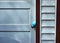 Traditional Easter egg hunt in backyard. Blue egg is hidden on doorknob of weathered garage entrance.