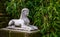 Traditional egyptian decorations, white stone sphinx sculpture in a garden