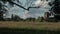 Traditional England with church looking across field