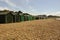 Traditional English family Beach Huts at the pebble beach at Titchfield in Hampshire in the South of England