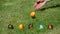 Traditional family Easter game with painted colorful eggs