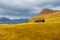 Traditional Faroese turf rooftop house on Streymoy Island. Gjogv, Faroe Islands