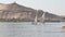 Traditional felucca boats sailing on the Nile river