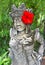 Traditional female balinese statue