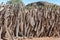 Traditional fence at the Damara Living Museum in Damaraland