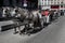 Traditional Fiaker Horses With Carriage At Rental Station in Front Of Stephansdom In The City Of Vienna In Austria