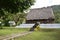 Traditional Fijian bure along Beach street at Levuka, Ovalau island, Fiji