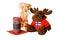 Traditional finnish straw toy, candle and reindeer