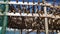 Traditional fish drying rack for making stockfish, dry fish, in the arctic circle